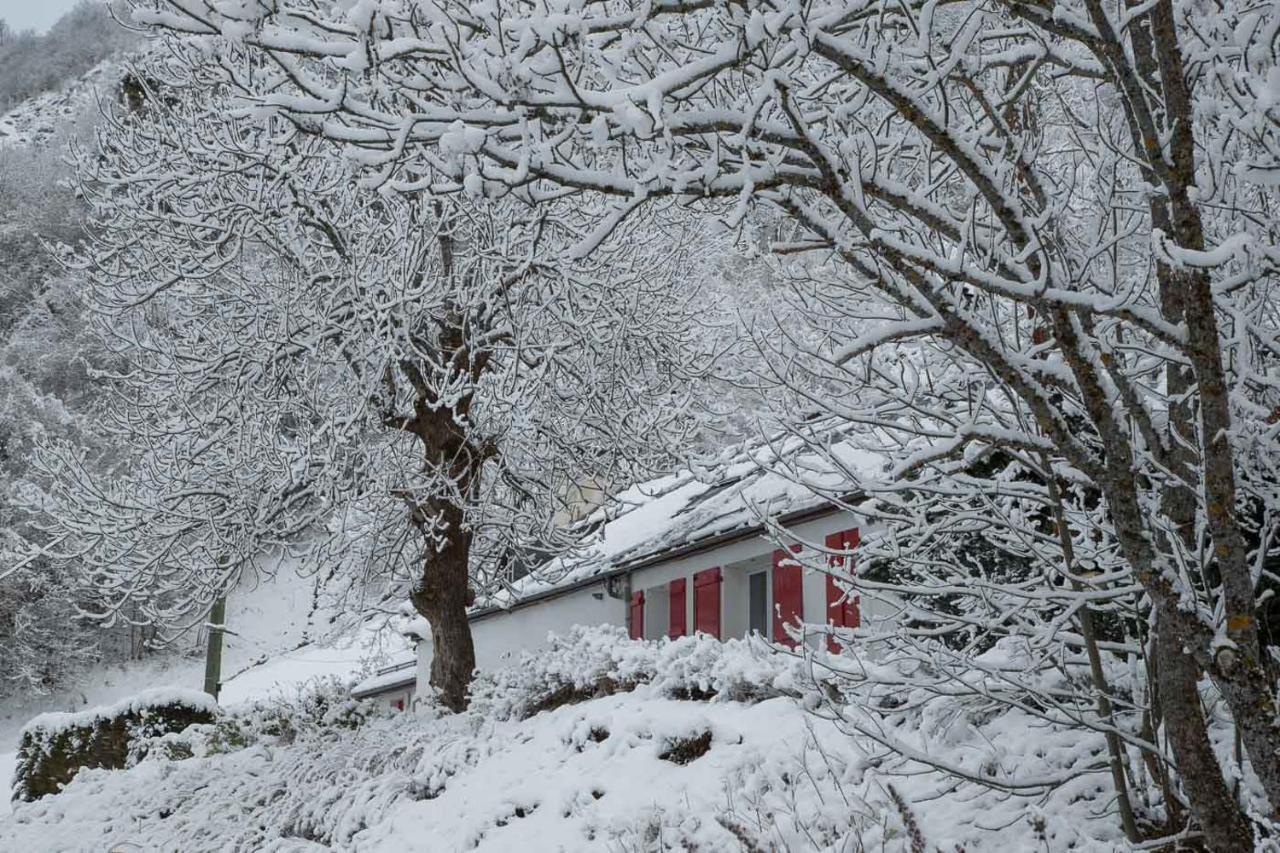 Comfortable Farm House Petit Barzun, In The Parc National Pyrenees バレージュ エクステリア 写真