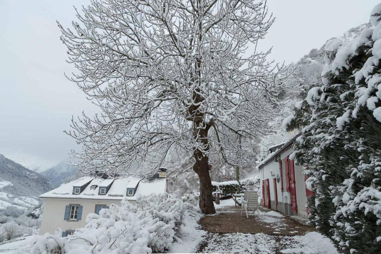 Comfortable Farm House Petit Barzun, In The Parc National Pyrenees バレージュ エクステリア 写真